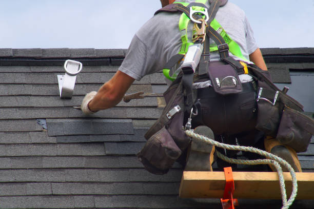 Best Metal Roofing Contractor  in Water Valley, MS