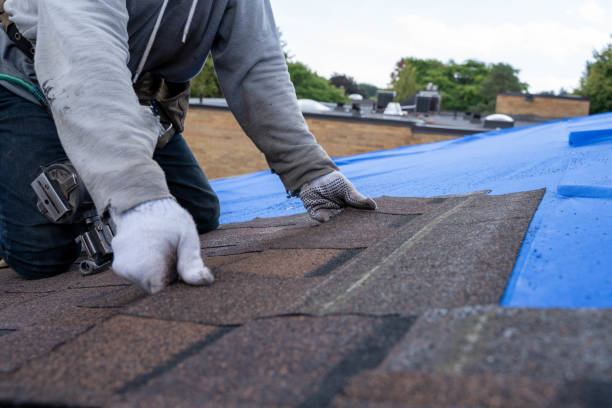 Best Commercial Roofing Services  in Water Valley, MS