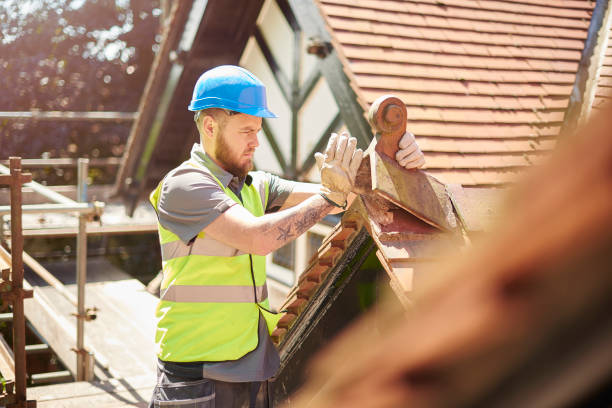 Gutter Installation and Roofing in Water Valley, MS
