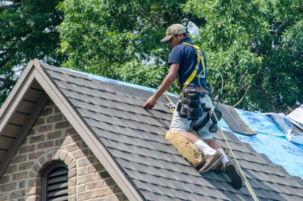 Best New Roof Installation  in Water Valley, MS